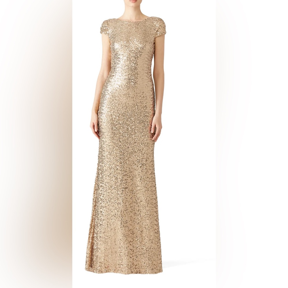 Gown Night at the Oscars Gown
Badgley Mischka size 10